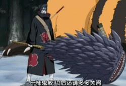 鬼鲛漫画,深海霸主，暗影刺客的崛起之路